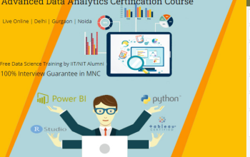 Data Analyst Course in Delhi, 110074.Certification